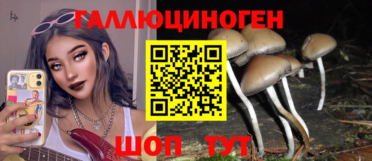 Псилоцибиновые грибы мицелий Тавда